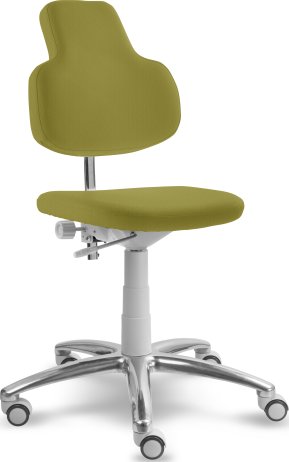 Kosmetická židle s opěrkou MEDI 2206