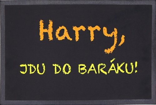 Rohožka Harry, jdu do baráku 40x60 cm